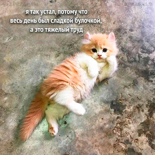 Program cover Perspire.tv