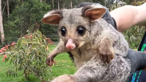 Program cover Perspire.tv