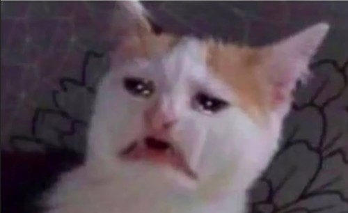 Program cover Perspire.tv