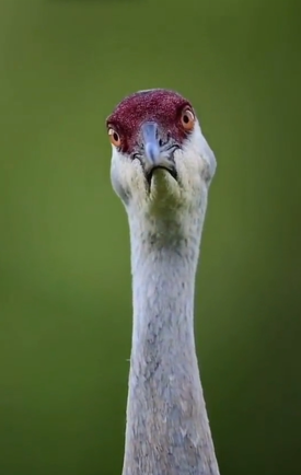 Program cover Perspire.tv