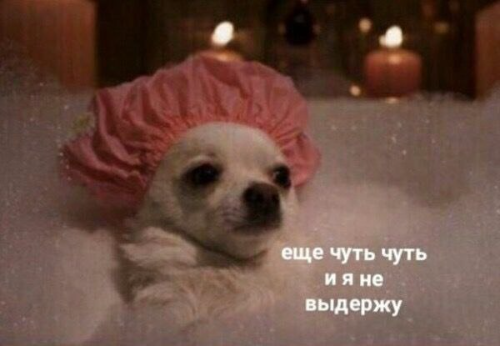 Program cover Perspire.tv