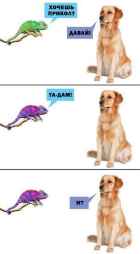 Program cover Perspire.tv